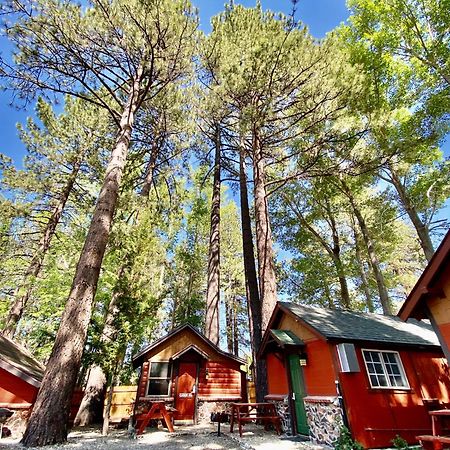 The Village Cabins Big Bear Lake Exterior foto