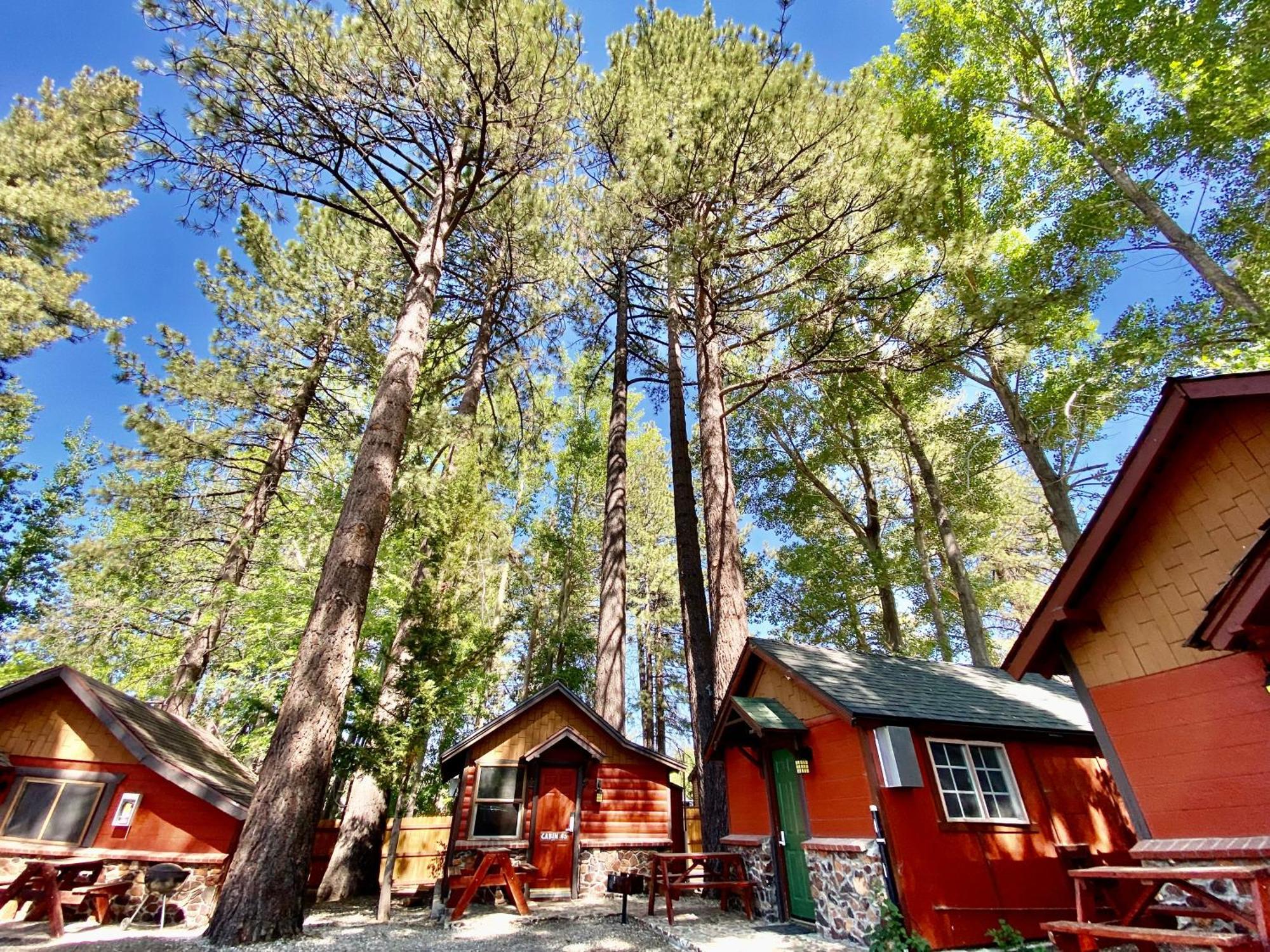 The Village Cabins Big Bear Lake Exterior foto